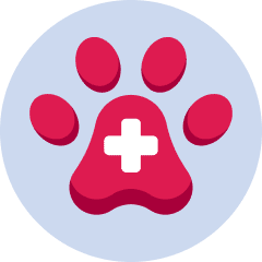 Kesehatan Hewan icon